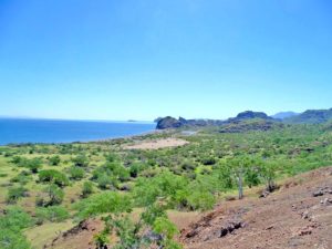 Terreno playa en venta en Loreto, BCS