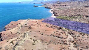 beachfront land for sale mexico